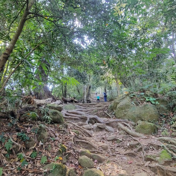 馬那邦山、細道邦山（小百岳）2435555