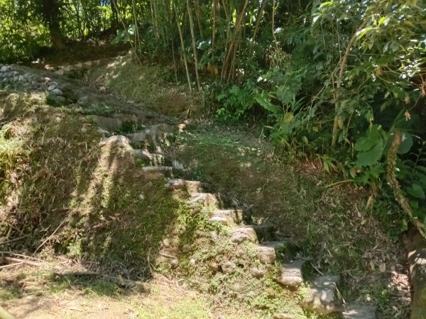 平溪區嶺腳步道+望古坑保甲路+嶺腳寮山+望古賞瀑步道(瀑布)+望古坑古道2825910