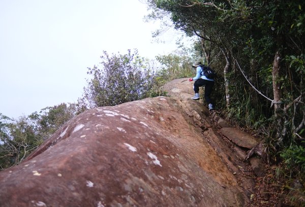 打鐵寮古道.白石山2752917