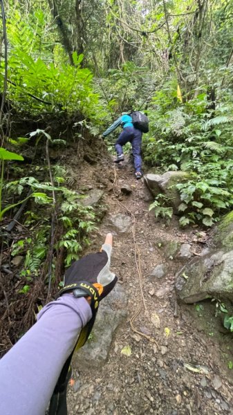 烏來西坑林道/探勘派出護管所彈藥庫遺址至獅坑橋2576281