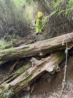 20250524 畢祿山單攻2796494