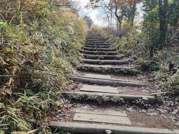 20251127陣馬山至高尾山2959100