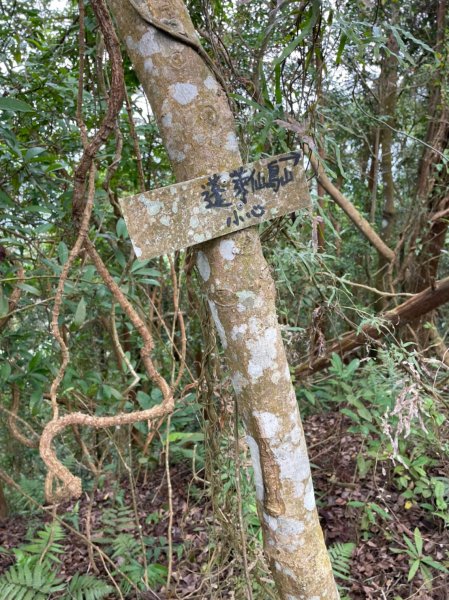 雙石緃走(石牛山至石門山)1584491