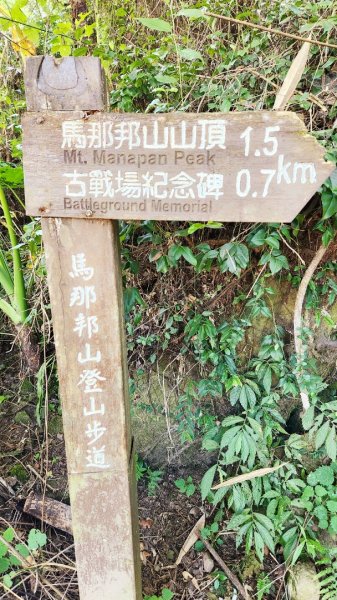 苗栗馬那邦山，飛鳳山大板根，石壁潭山，觀日坪古道，台中三汀山，鐵砧山，后豐鐵馬道，彰化八卦山天空步道1908311