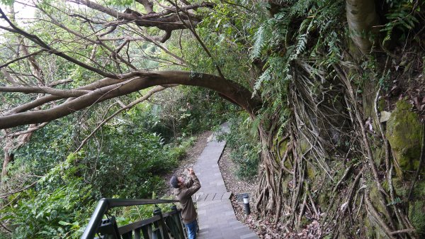 和美山登山健行趣（郊山）1587722