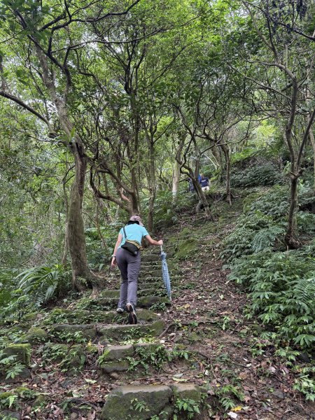 天上山+大棟山 2025.07.202864418