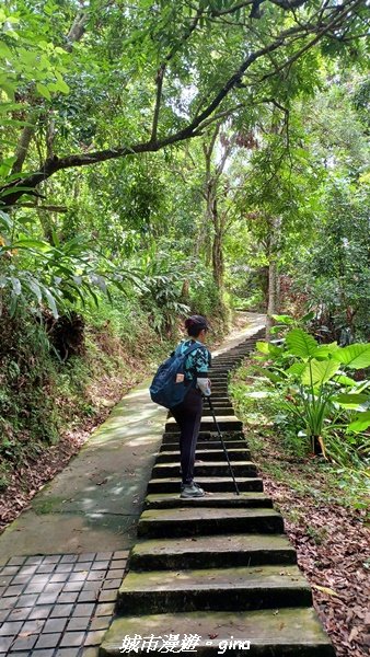 【南投草屯】蝴蝶紛飛可惜抵擋不了低海拔蚊子攻擊。 虎山步道x中興新村2856637