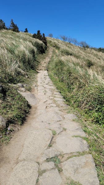 風櫃口頂山石梯嶺擎天崗2056584