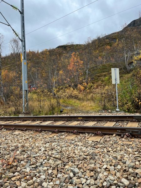 Norway-Myrdal-VATNAHALSEN HOTEL-湖邊健行2917780