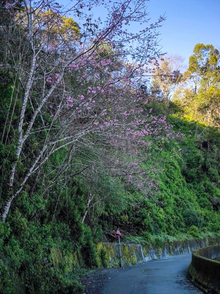 2025-02-16 巴蜈縱走2714309