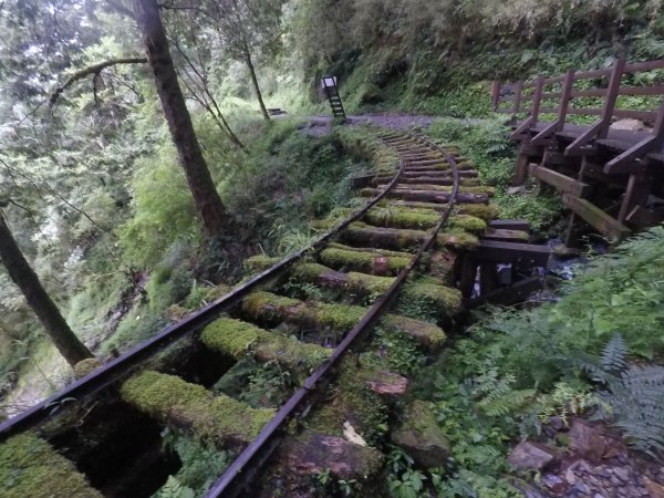 太平山見晴古道1457876