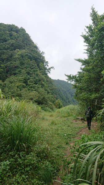 20180901新店獅仔頭隘勇線登山步道416103