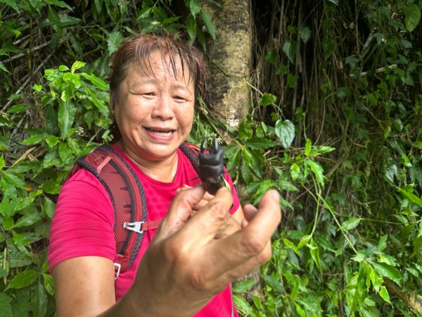 草嶺之峭壁雄峰、水簾、蓬萊瀑布、茄苳古道、幽情谷步道2286512