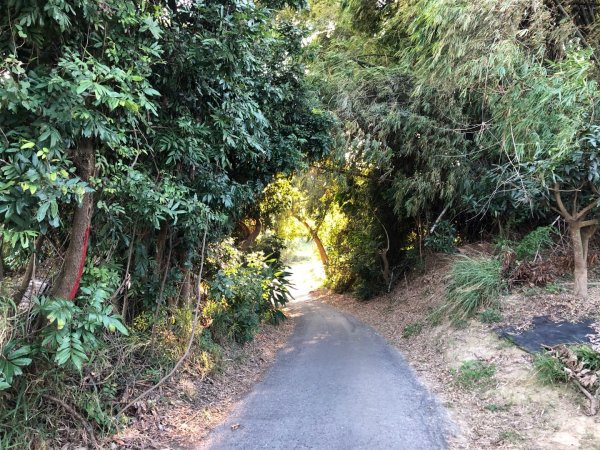 台南市六甲、官田、麻豆、將軍土地調查局圖根點。六甲、番子田、寮子廓、新豹尾（末尋得）、過港子1634831