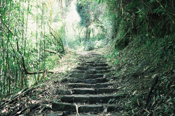 健行｜奮起湖大凍山1093383