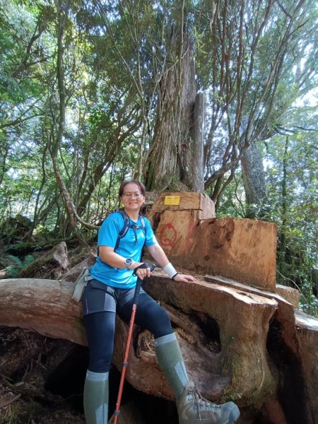 低陸山-嘎拉賀神木1765090