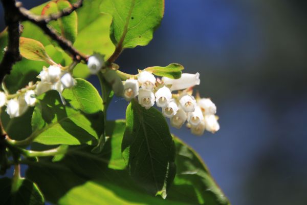 志佳陽單攻139899