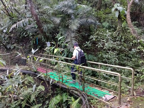 平溪區善覺寺步道+畝畝山北稜線+畝畝山+石硿子瀑布+灰窯瀑布O型2940004