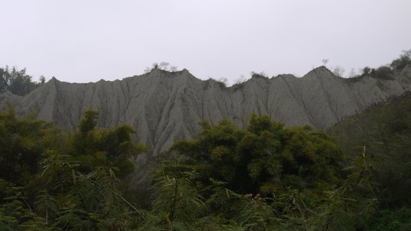 田寮月世界登山健行趣(步道)1602509