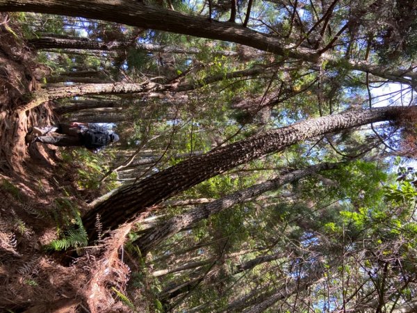 谷關七雄-馬侖山1116747