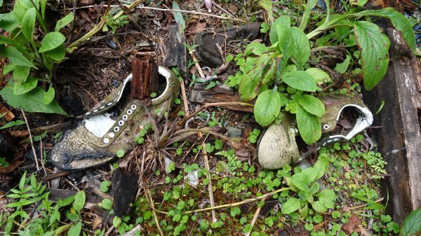 雙龍林道上巒安堂西巒大山1778730