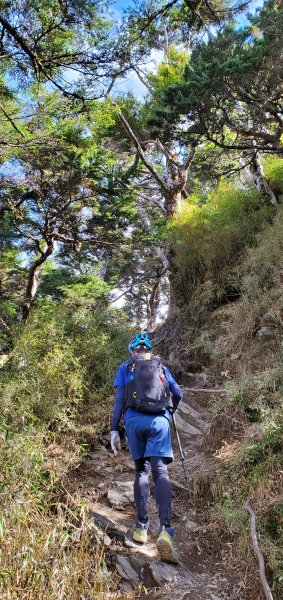 南橫_關山嶺山縱走溪頭山之艱硬路線之美2463264