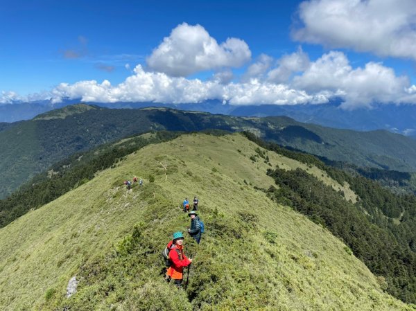 閂山鈴鳴-比人高的箭竹心累的鈴鳴1451566