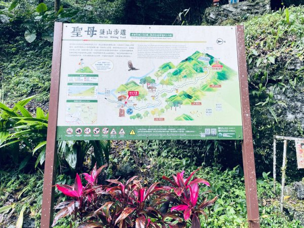 20250329 抹茶山-聖母登山步道2758935