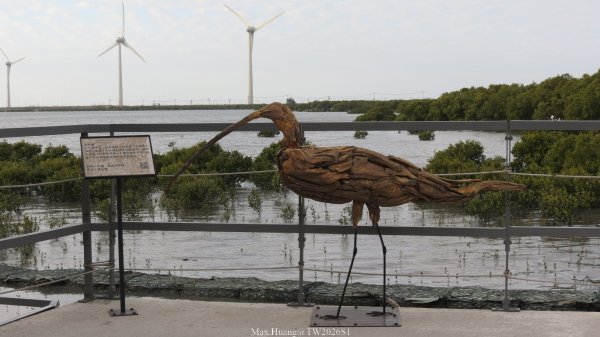 《彰化》海空夕照｜王功燈塔及芳苑海空步道健行賞冬候鳥202601102980323
