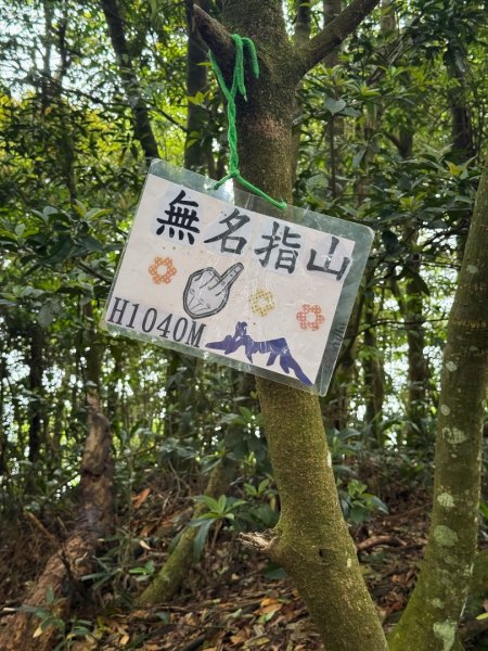 新竹五指山 - 指峰凌霄2768556