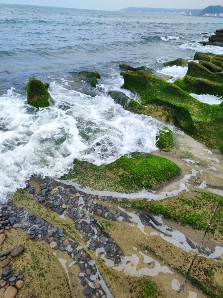 富貴角燈塔老梅綠石槽2781659