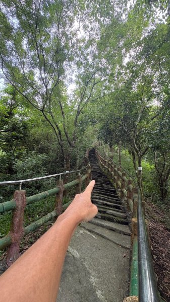 941（旗尾山2905654