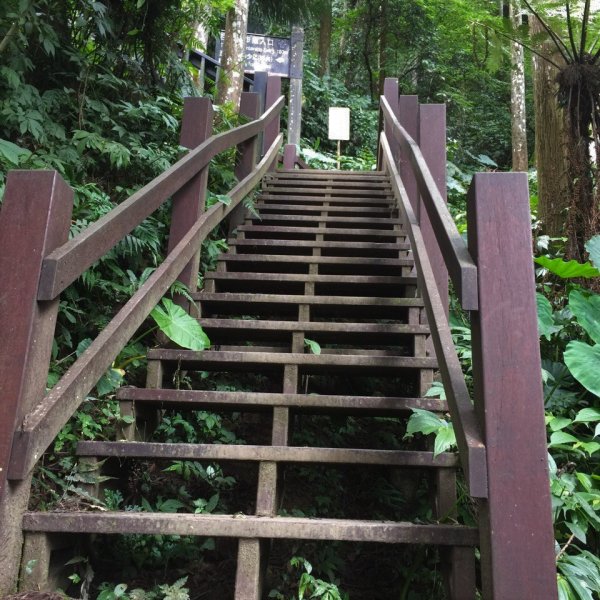 步道巡訪員 l 五指山步道七月巡訪日誌1018038