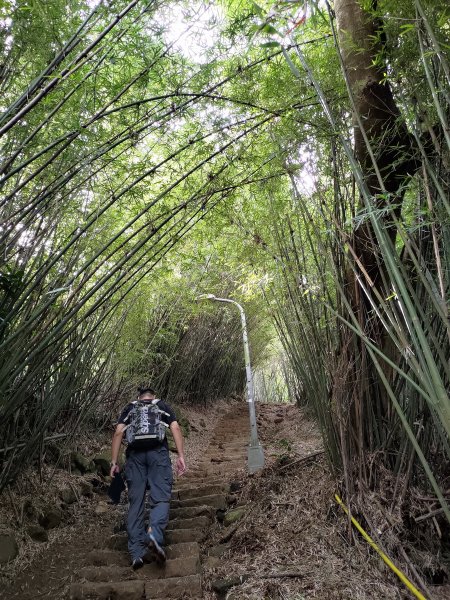 【台北市淡水區】面天山、向天山(清天宮登山口)2278840