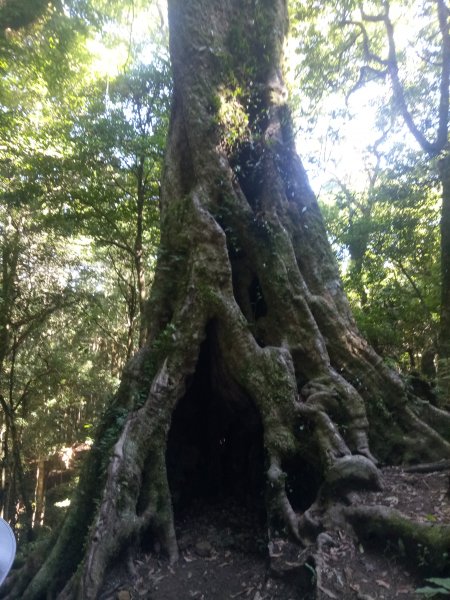 高島縱走1887811