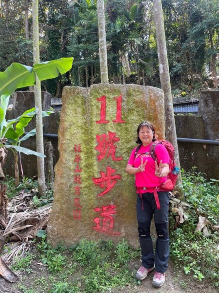 嘉雲南大尖山和二尖山1273111