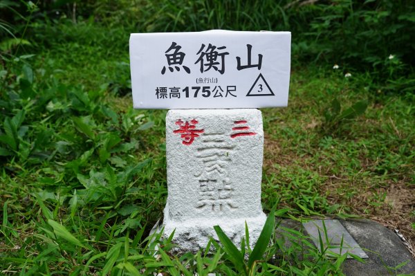 臺北 文山 指南山、猴山岳、魚衡山、大前坑山、猴山坑山、祥光寺後山、金頭山封面