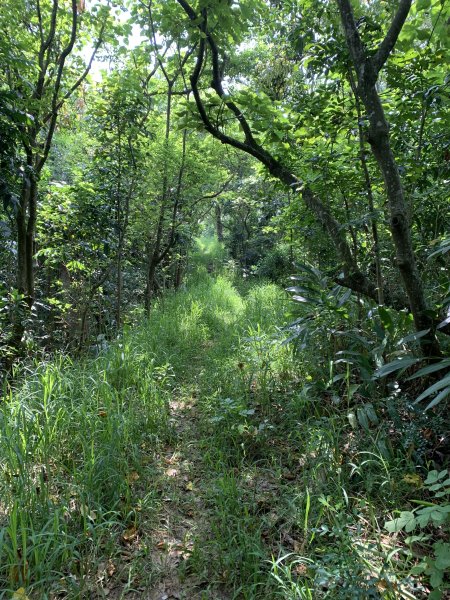 20250906台南口埤山(口碑山)2881403