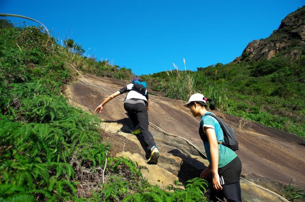 劍龍新路+鋸齒稜ABC+茶壺山+六坑索道下黃金瀑頂2425728