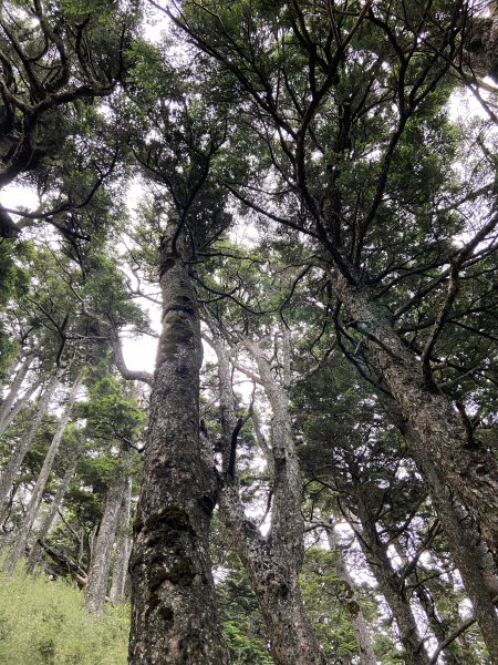 屏風山加碼大鐘塔2280772