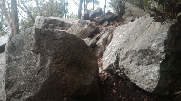 鳶嘴山、稍來山縱走107229