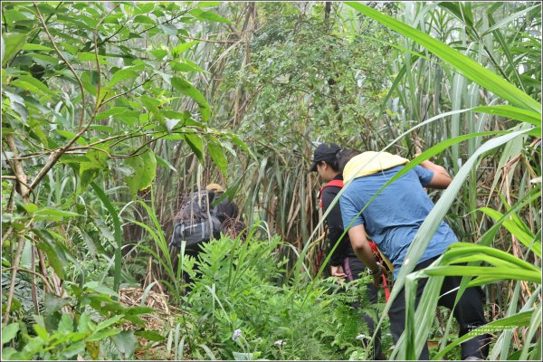 萬人山-2023年11月12日2347851