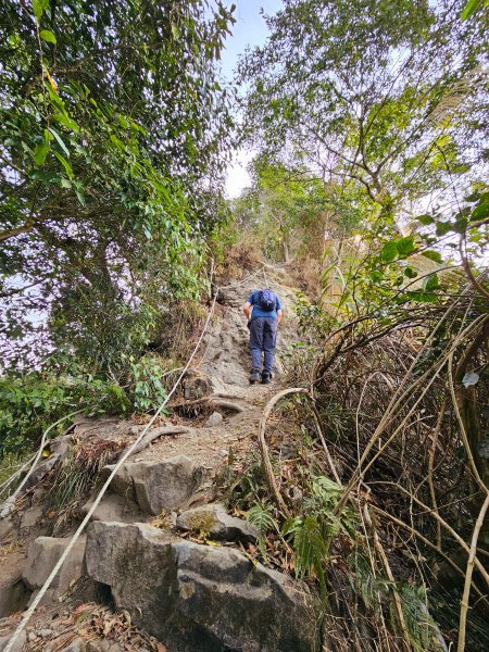 小百岳集起來-三腳南山2184546