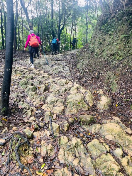 1131225新山夢湖2676511