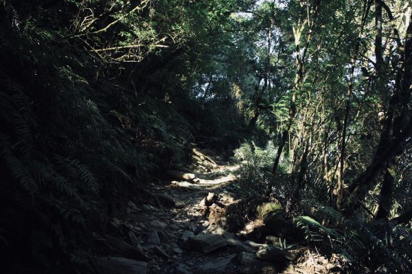 作伙來去北大武304395