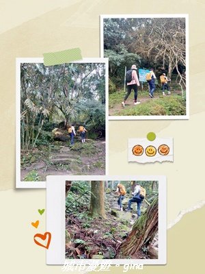 【新竹竹東】五指山登山步道3004807