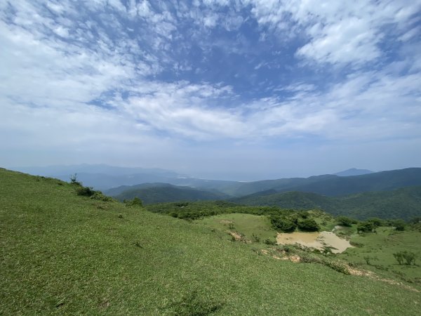 20240421灣坑頭山步道2485373