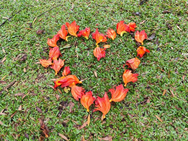 【臺北大縱走 4】大湖公園→大溝溪生態治水園區→圓覺瀑布→峯碧山圓覺寺→碧山巖→白石湖吊橋→碧湖公園3008912