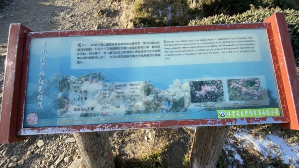 合歡東峰看日出|Mt. Hehuan East Peak|松雪樓|峯花雪月2389775