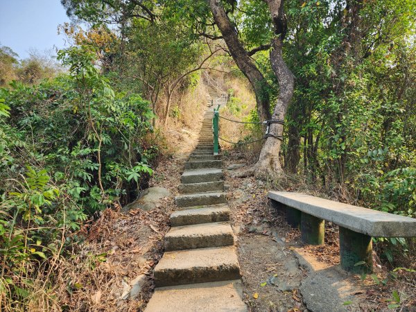 小百岳No.75⛰觀音山3025132
